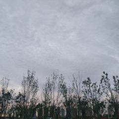 2609186
