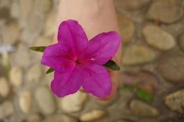 IMGP0765.JPG