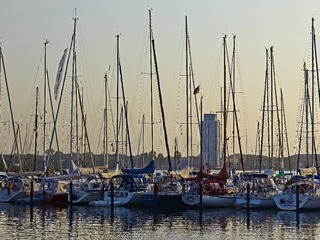 IMG_2088.jpg