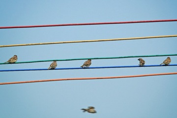IMG_2923.JPG