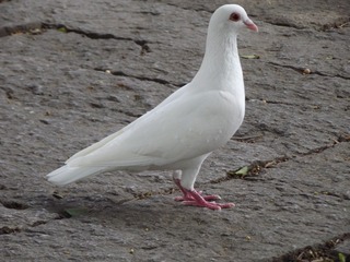 6543