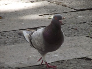 6542
