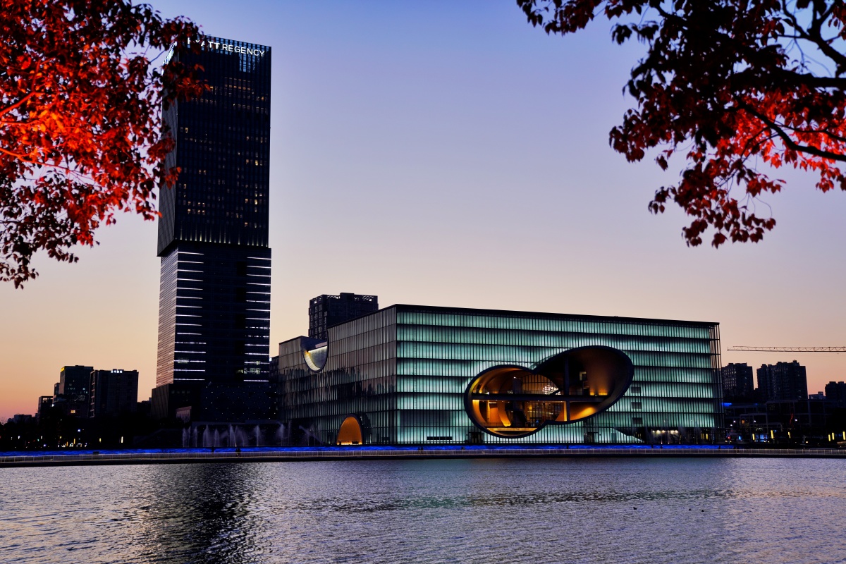 上海保利大剧院夜景 - 摄影师沪哥 - 图虫