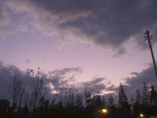 ED25E56D-5A82-4BD5-A0ED-62030D36EE86/L0/001