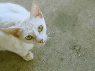 img_4567_副本.jpg