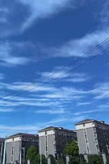 1000094901
