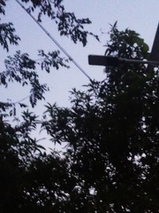 130663