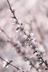 C431F0F5-DDBD-4C8C-8CA3-E13D9E1C755D/L0/001