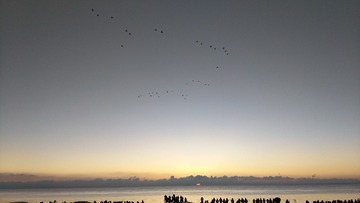 984493