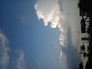IMG_20120430_173919.jpg