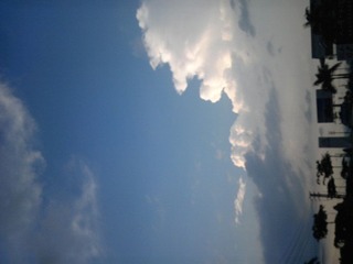 IMG_20120430_173952.jpg