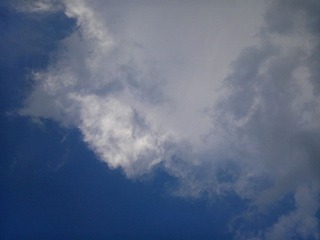 IMG_20120430_174004.jpg