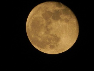 DSCN0772.JPG
