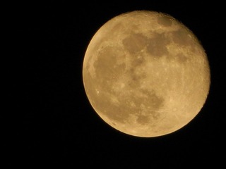 DSCN0776.JPG