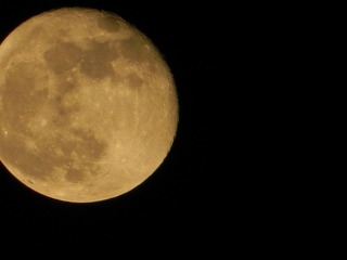 DSCN0779.JPG