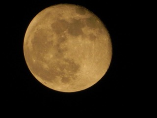 DSCN0780.JPG
