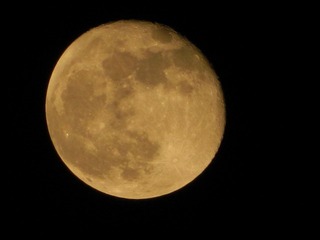 DSCN0784.JPG