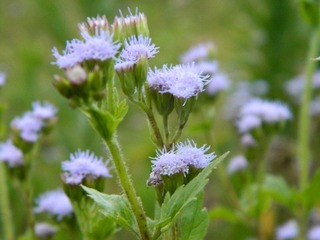 DSCN1651.JPG