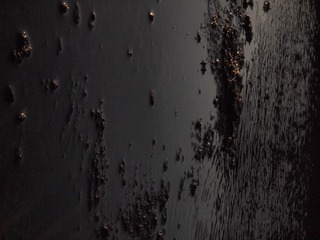 253146