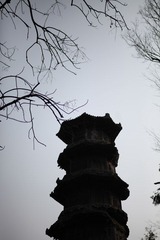 IMG_1816.JPG