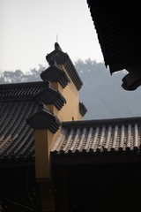 IMG_1885.JPG