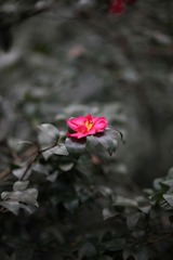 IMG_1926.JPG