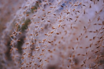159628D4-1858-420C-95AB-344BD98B5FD4/L0/001
