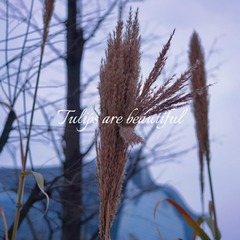 0507AD9D-94D7-4614-AE69-A5DEEC81C3C4/L0/001