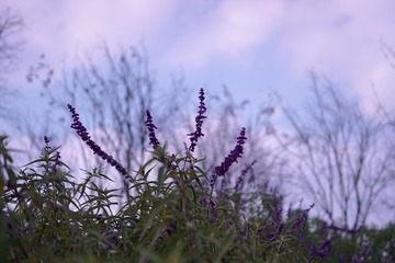 91993AE1-1F74-47D2-8AB8-4F05B35A46B2/L0/001