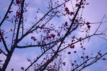 9F91C397-584C-4697-8924-70F172262E81/L0/001