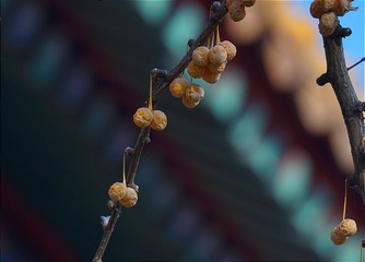 143199