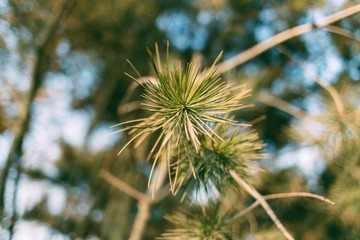 20140302_8138