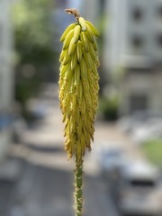 2A69E8A5-213A-4FE8-ADF2-61C8C3944D9F/L0/001
