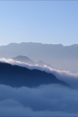 201245