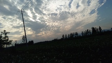 59639