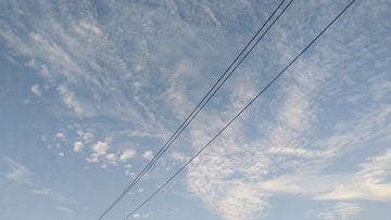 59636