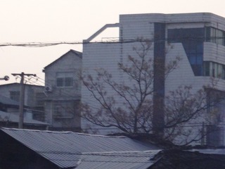 363206