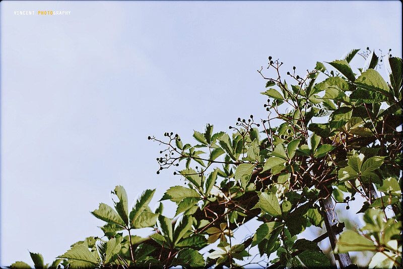 湛蓝的天空,包含了多少的梦想<br />