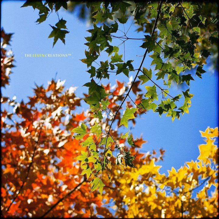 秋天的四原色<br />
摄于慕田峪长城。