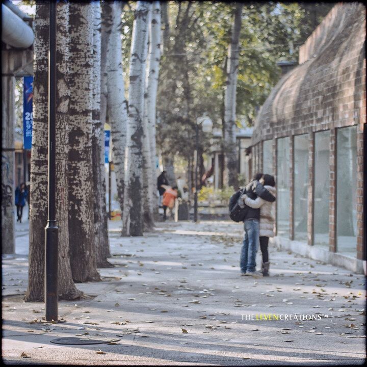 这就是爱情<br />
