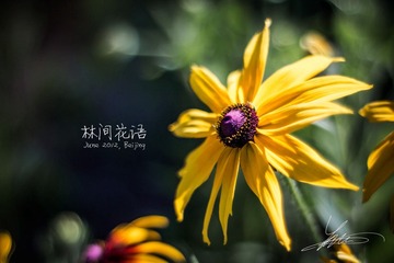 _MG_0687.jpg