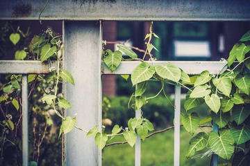 _MG_2634.jpg