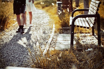 _MG_6250.jpg