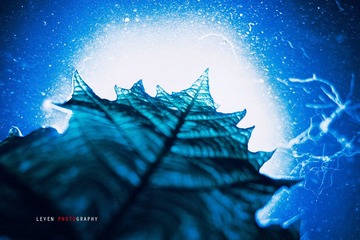 _MG_7458.jpg