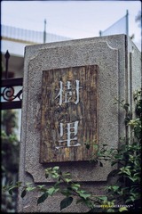 _MG_2442.jpg