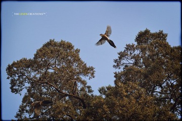 _MG_63032.jpg