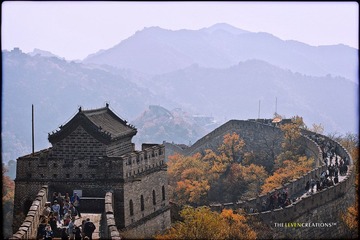 _MG_7083.jpg