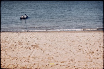 _MG_2605.jpg