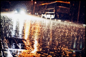 _MG_2410.jpg