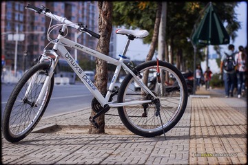 _MG_5967.jpg